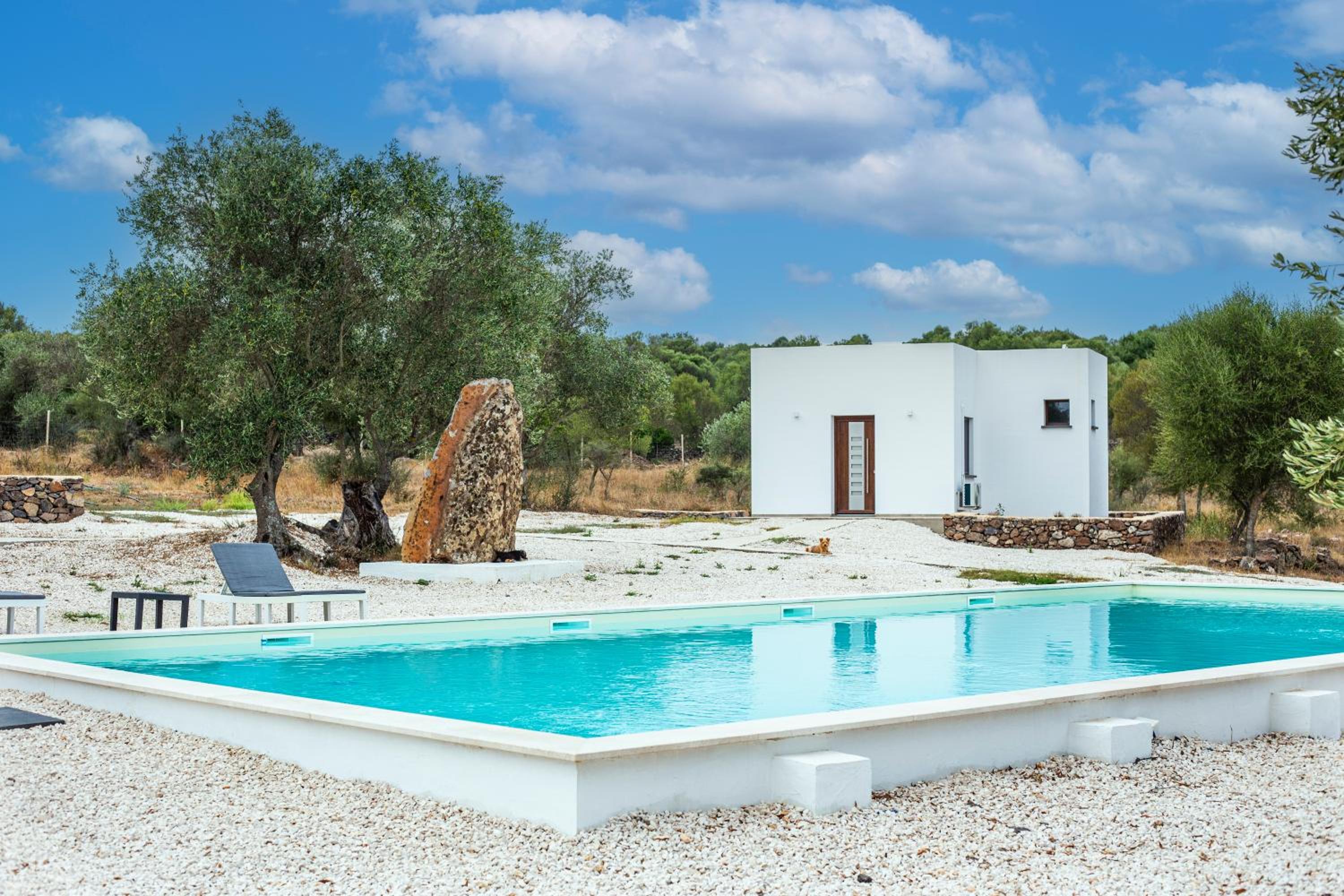 Photo 35