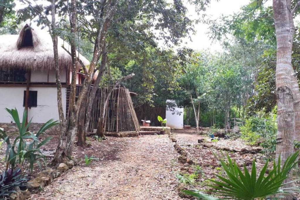 Agua y Candela Bacalar view 5