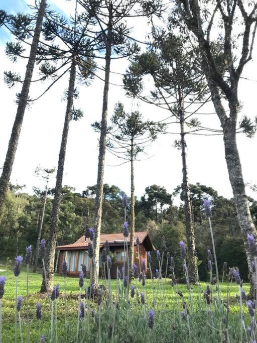 Cabana do Lenhador - Urubici, SC