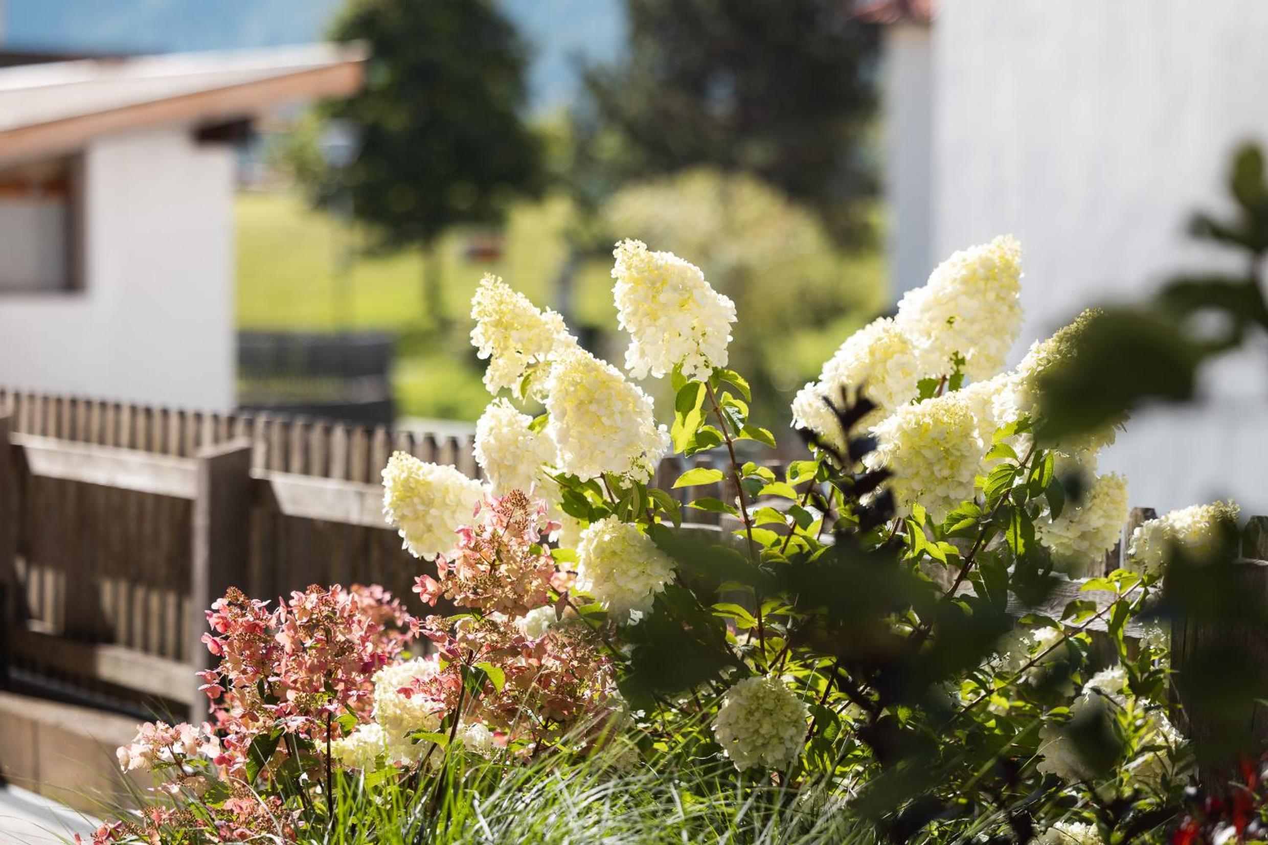 Haus Kristall inkl der SUPER SOMMER CARD im SOMMER 2026 view 3