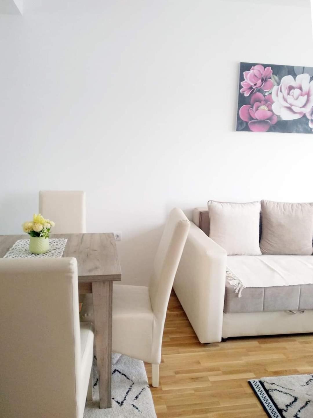 Apartman Filipović Vrnjačka Banja view 4