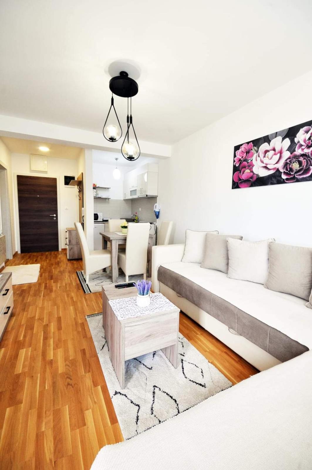 Apartman Filipović Vrnjačka Banja view 5