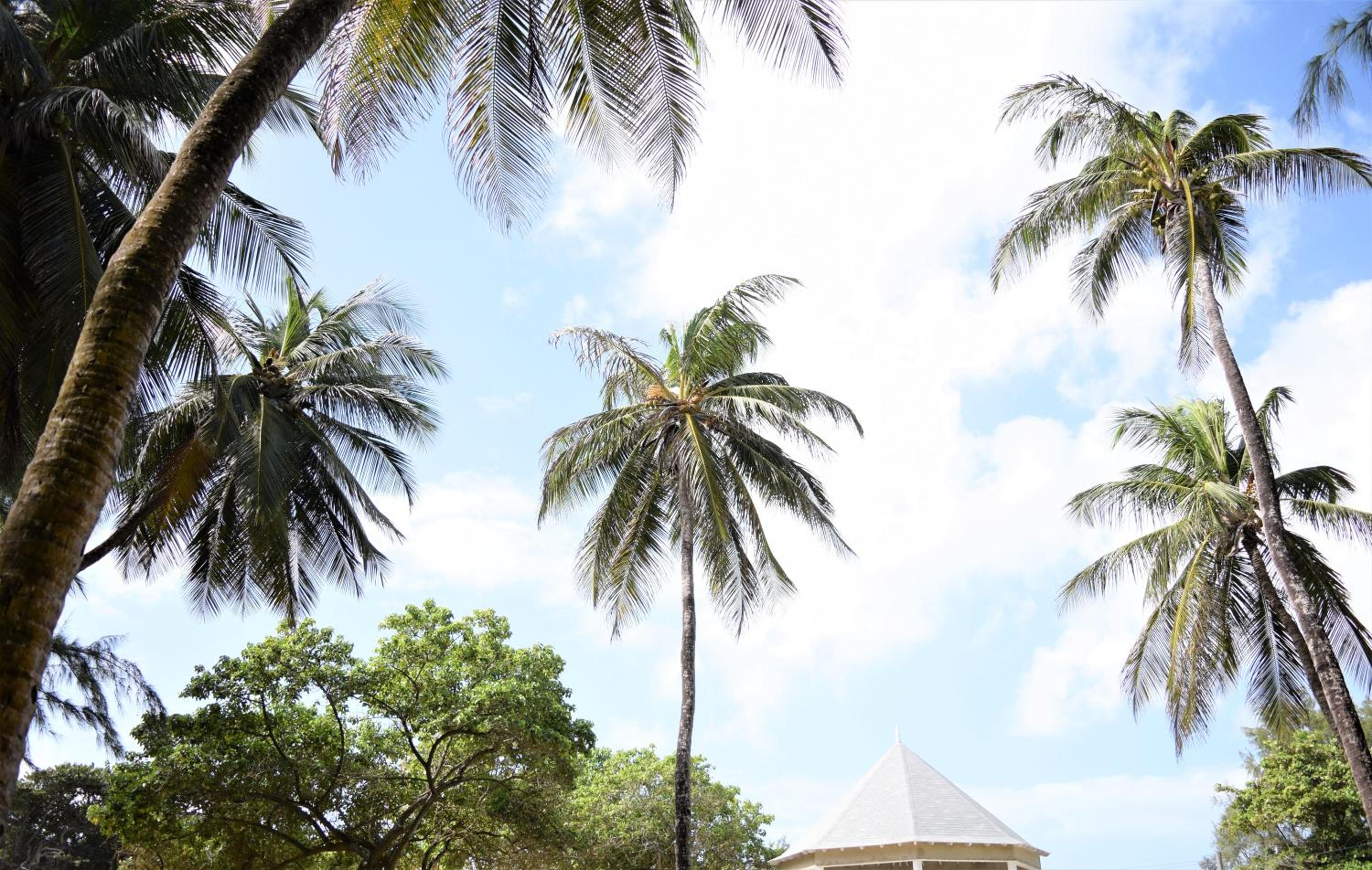 Coconut Walk Beach Apartment