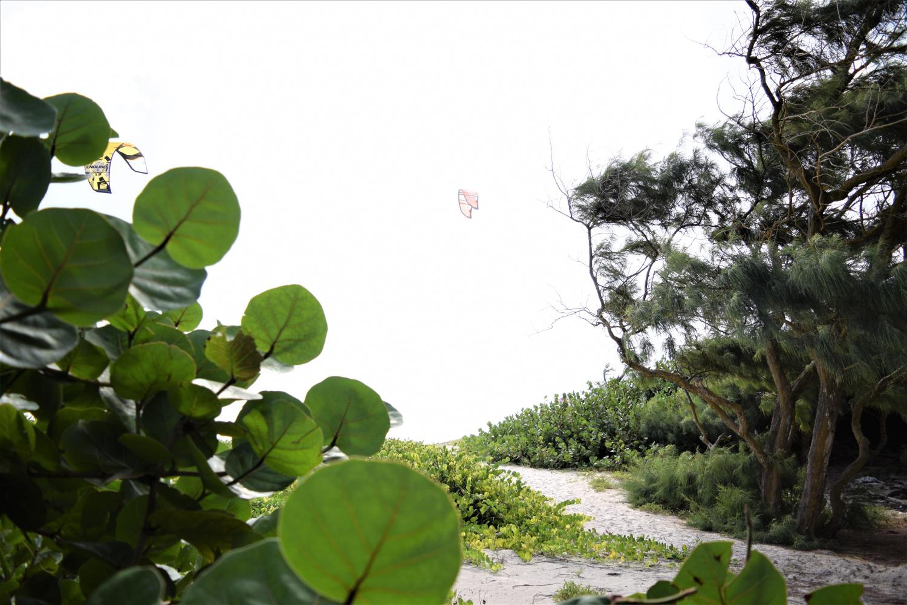 Coconut Walk Beach Apartment