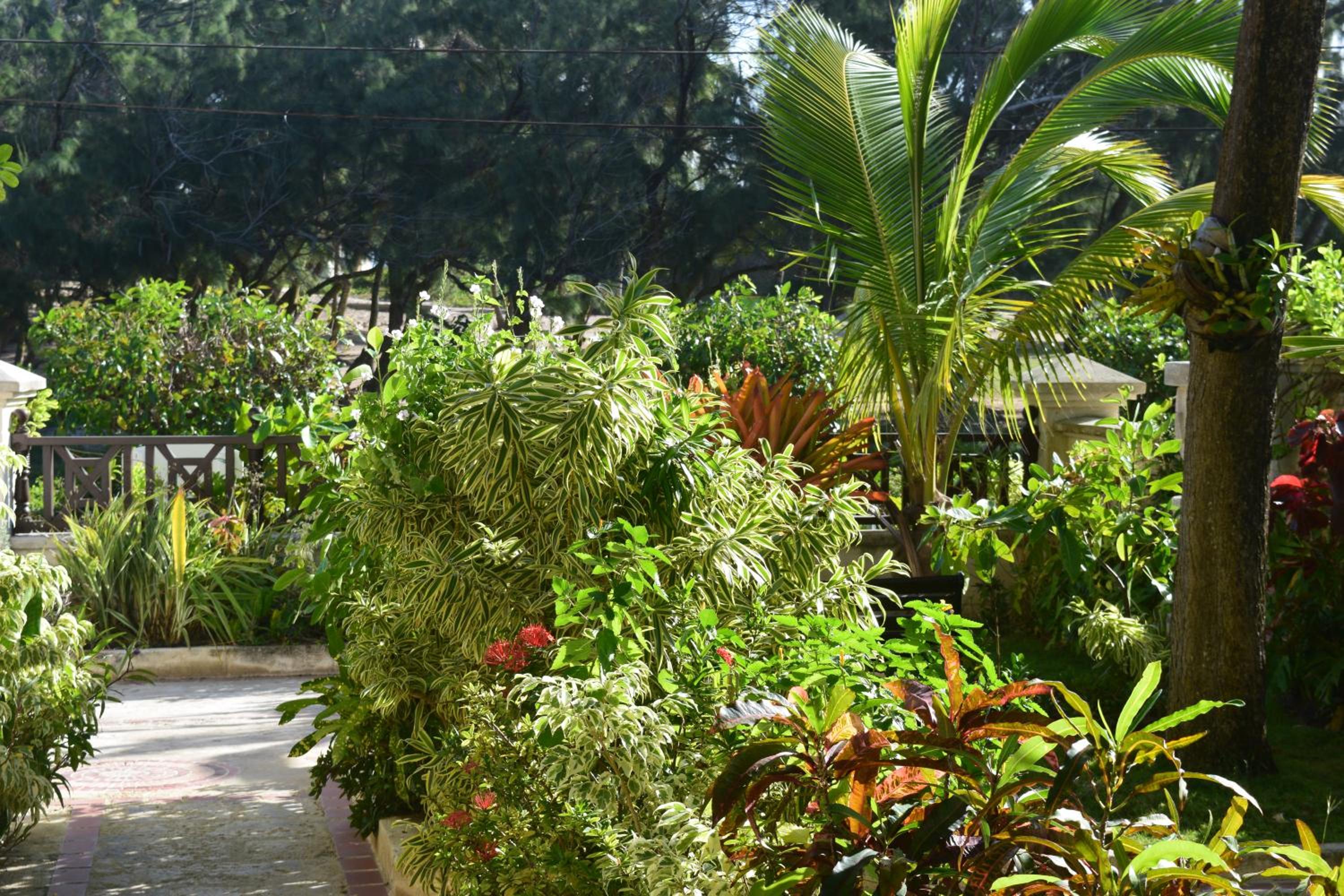 Coconut Walk Beach Apartment