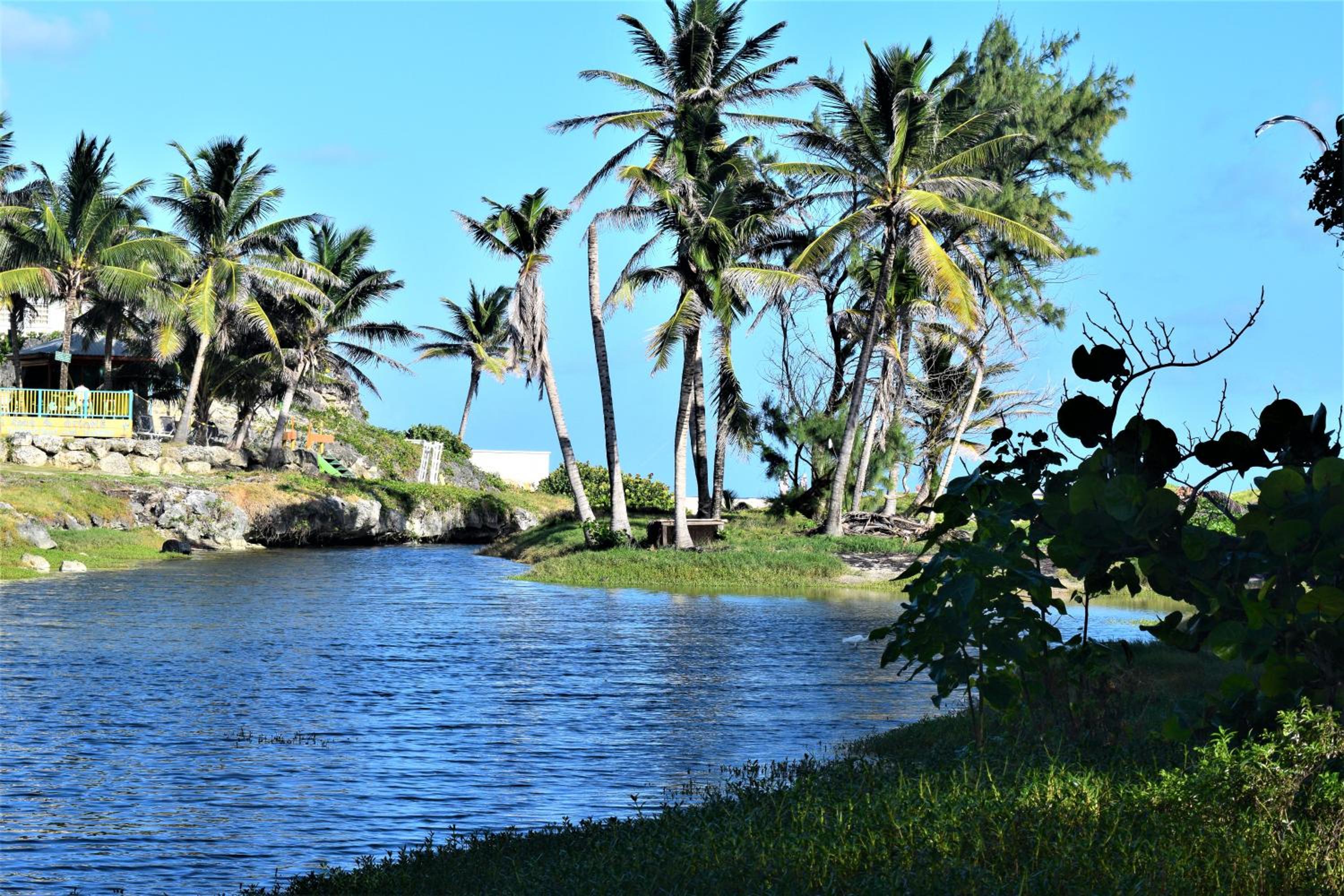 Coconut Walk Beach Apartment