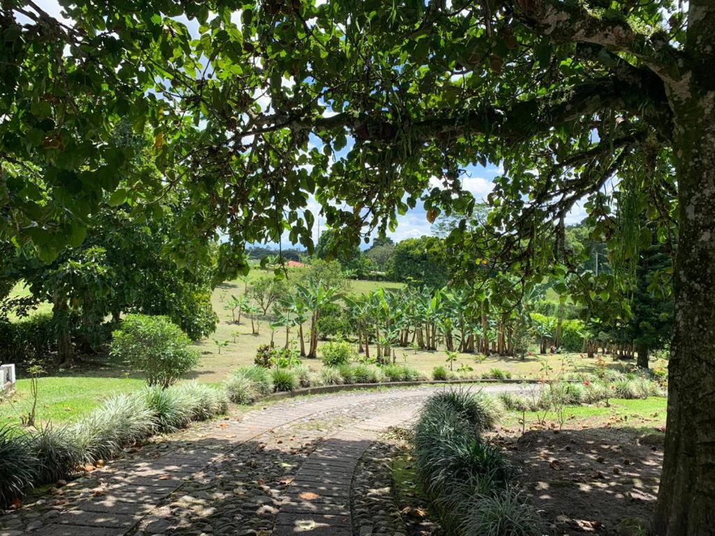 Finca Monte del Sol