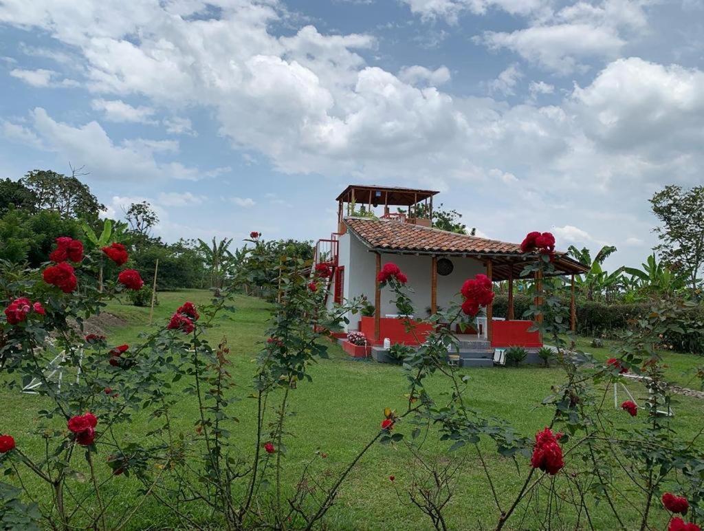 Finca Monte del Sol
