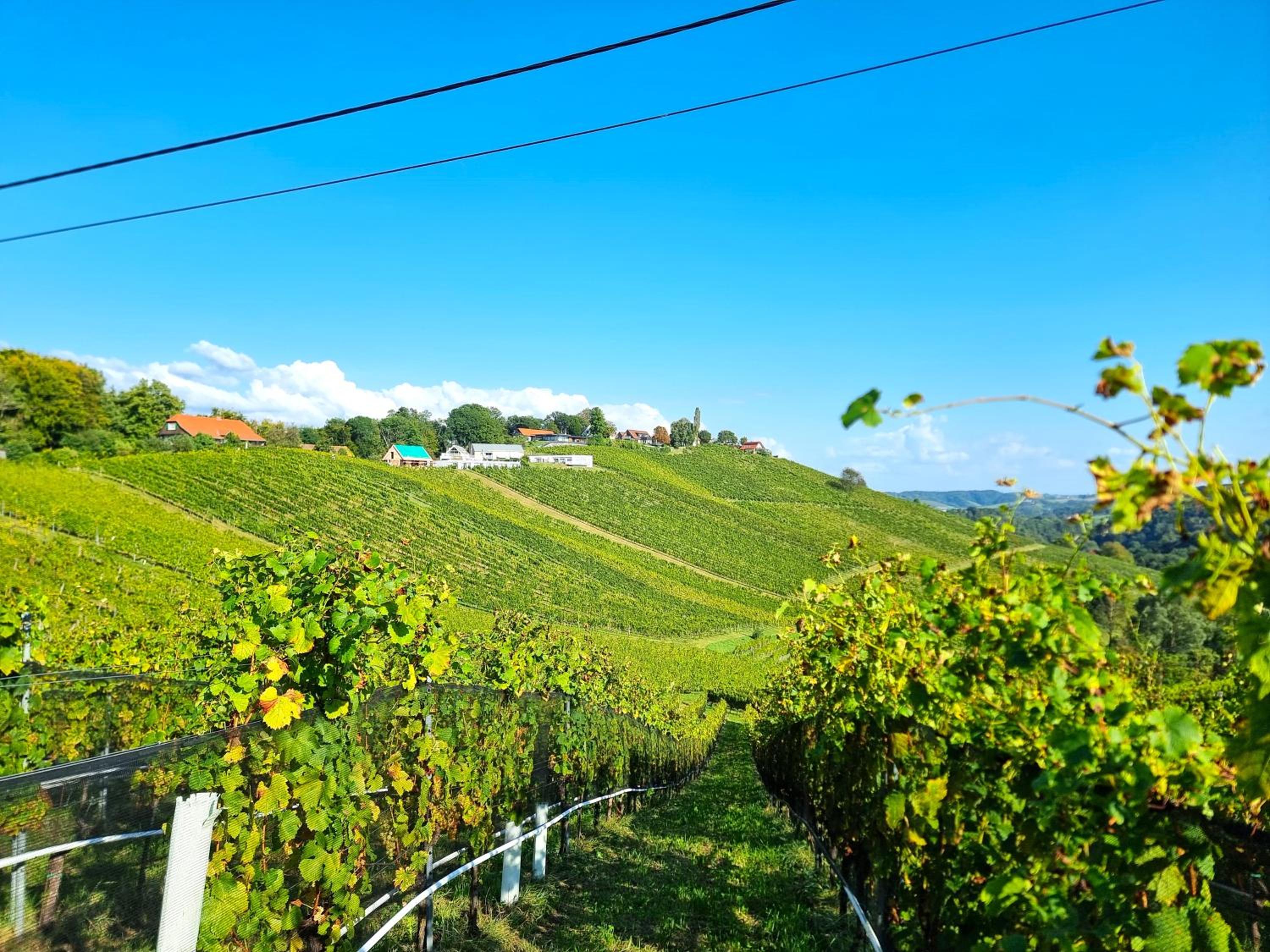 Weinlandzauber An der Lage
