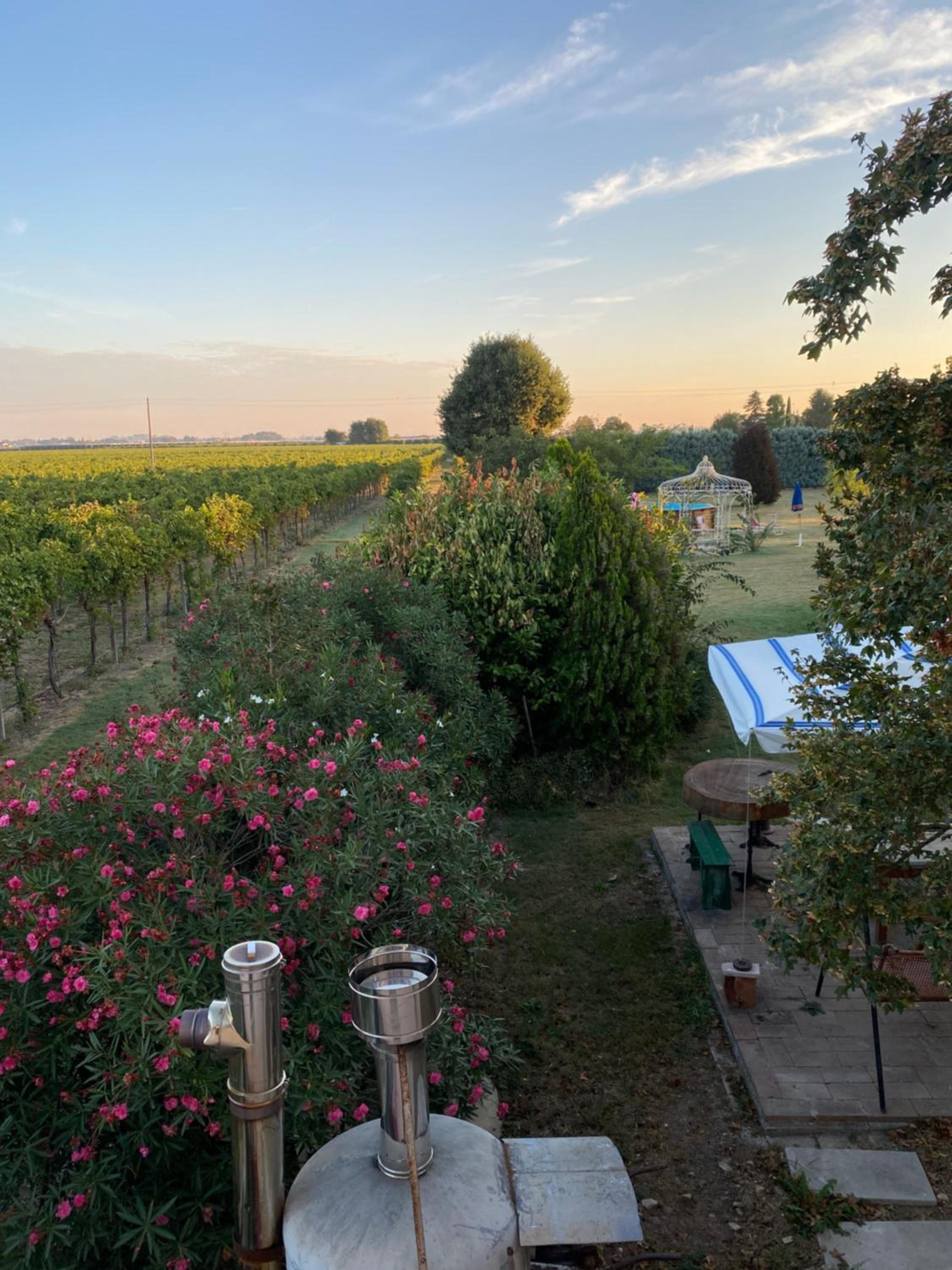 Relaxing house with exclusive swimming pool, close to Imola and Faenza, 4 bathrooms view 3