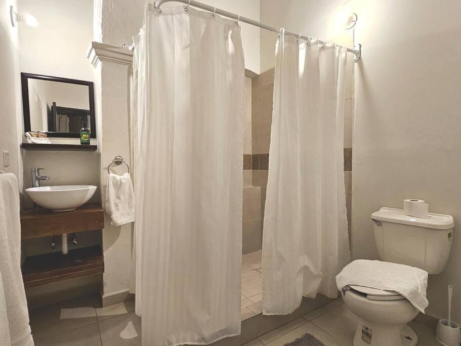 Villa Golondrinas, in Main Downtown, with A/C and Free Parking! view 4