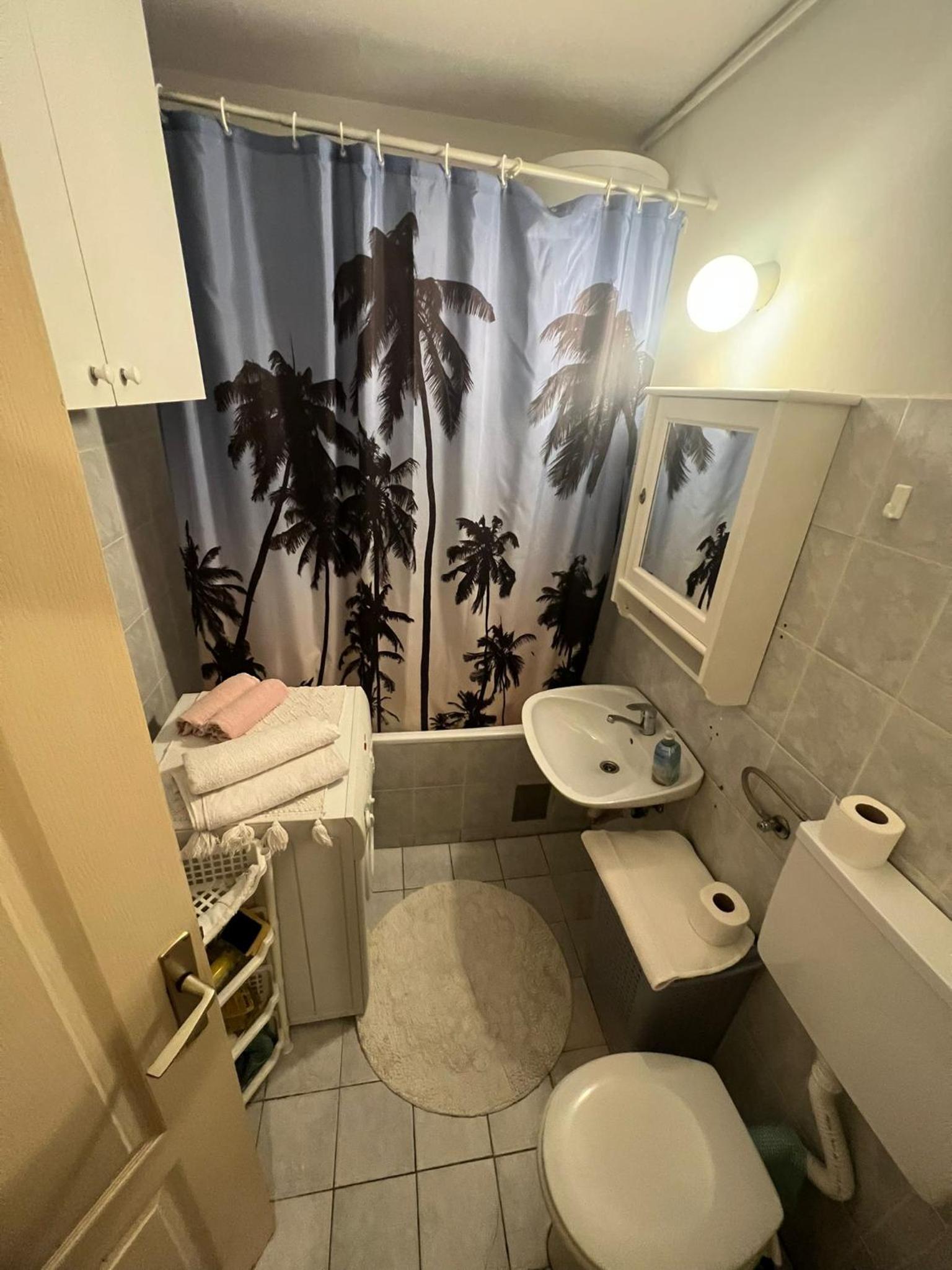 Apartman Kosa view 4