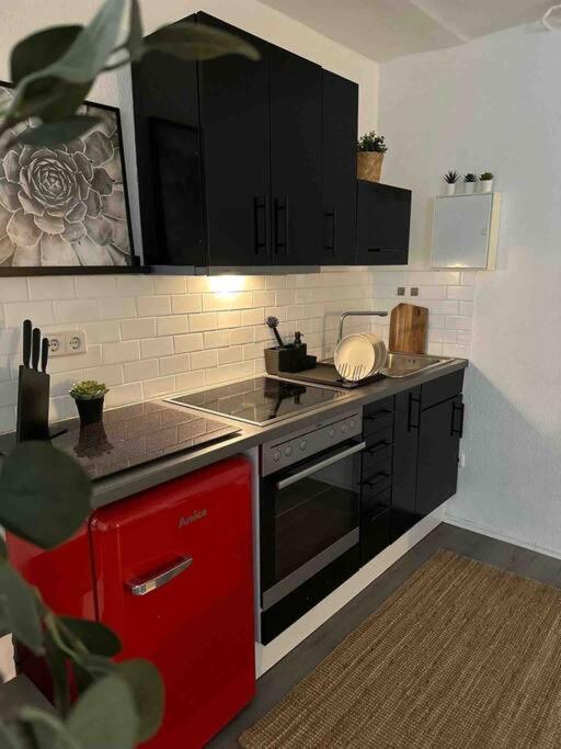 Wunderschönes Studio im P-Berg mit Pkw Stellplatz optional Buchbar