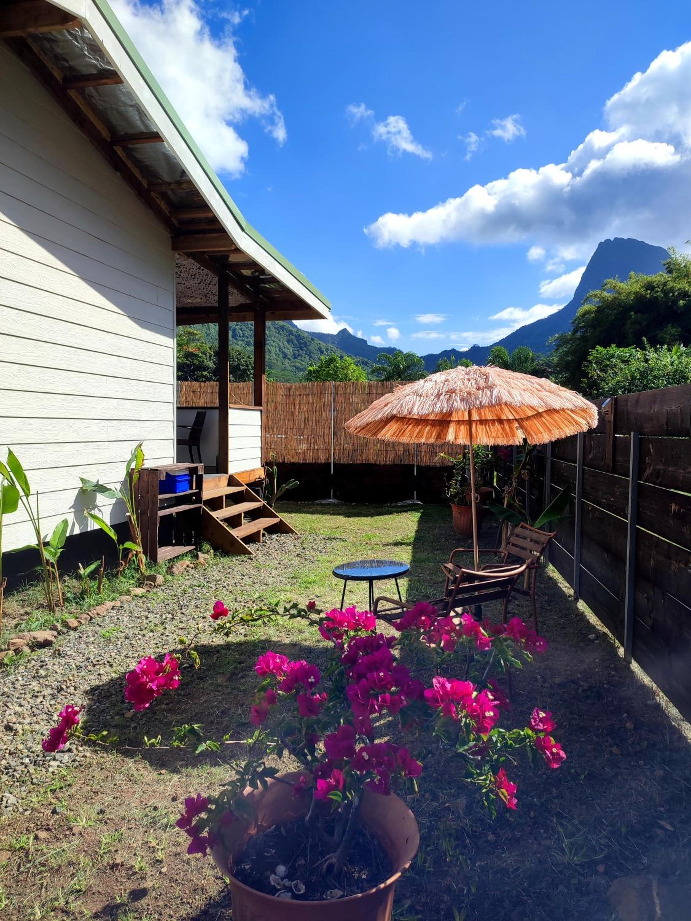 L'oiseau du Paradis Moorea