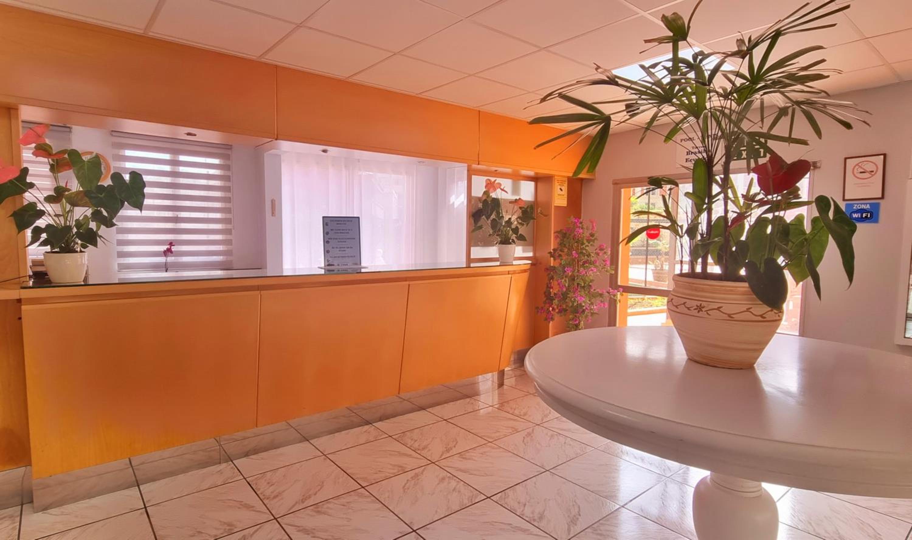 recepcion & lobby