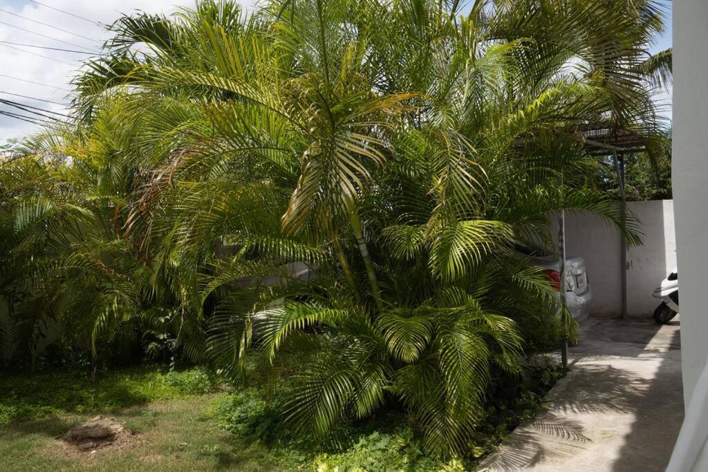 Villa Caribe