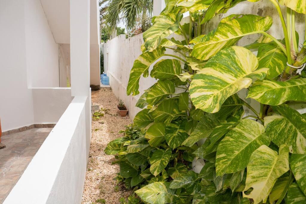 Villa Caribe