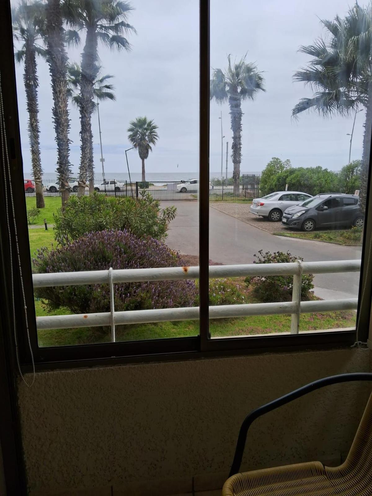 Palmar vista al mar