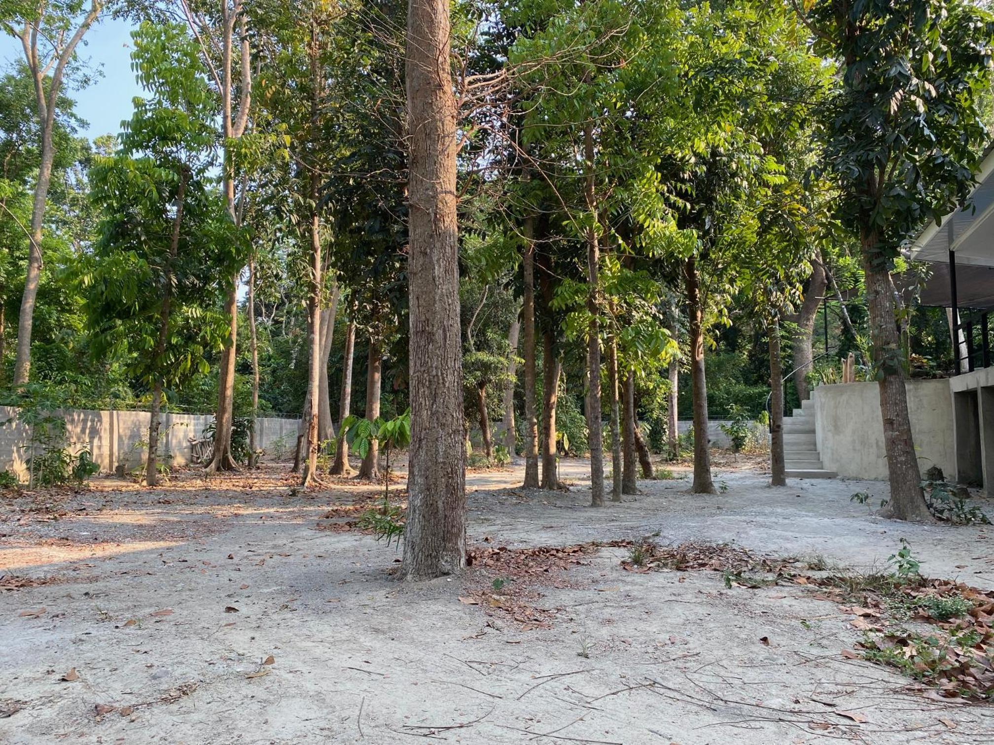 Balai Benedicere Bed & Breakfast
