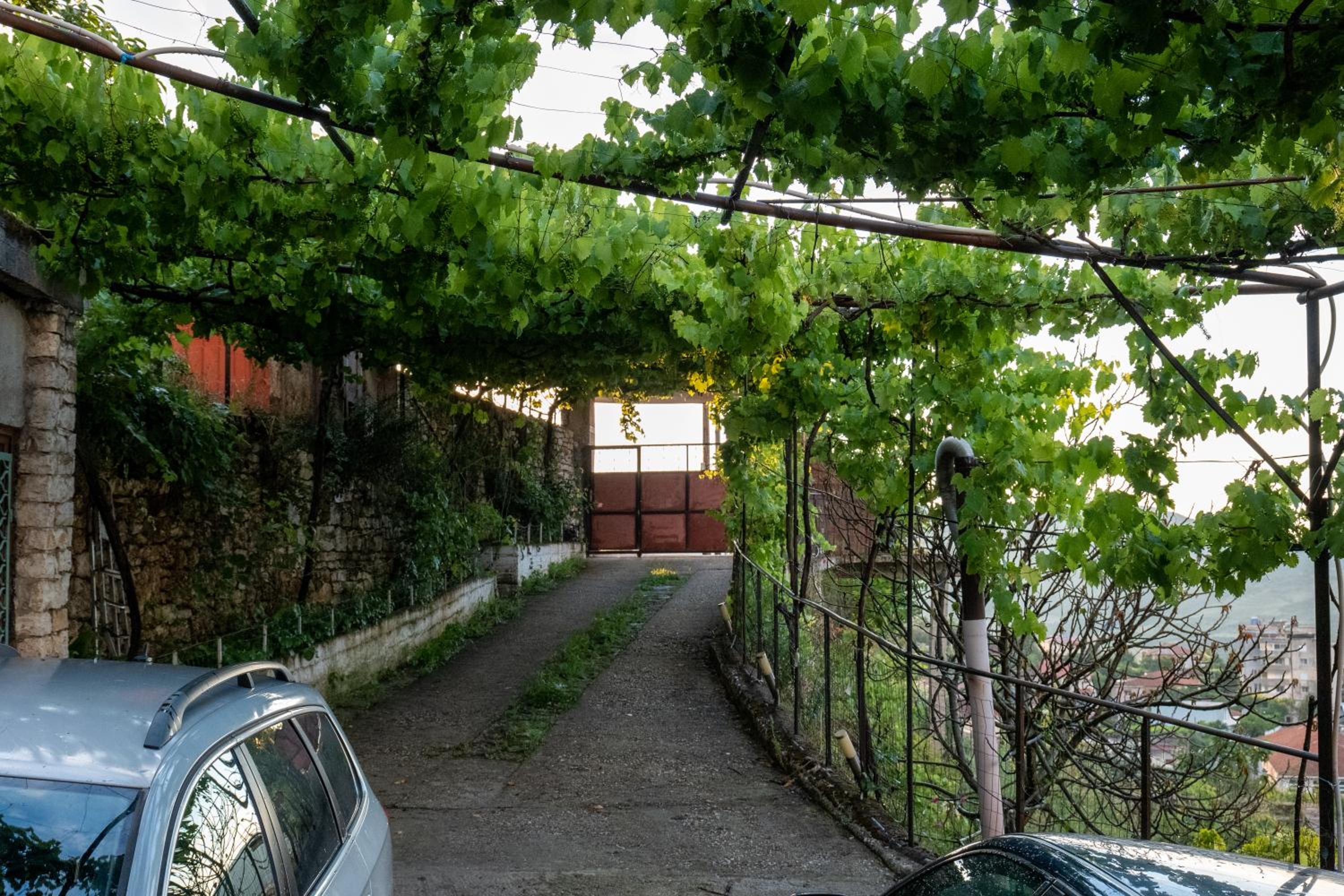 Panoramic View House