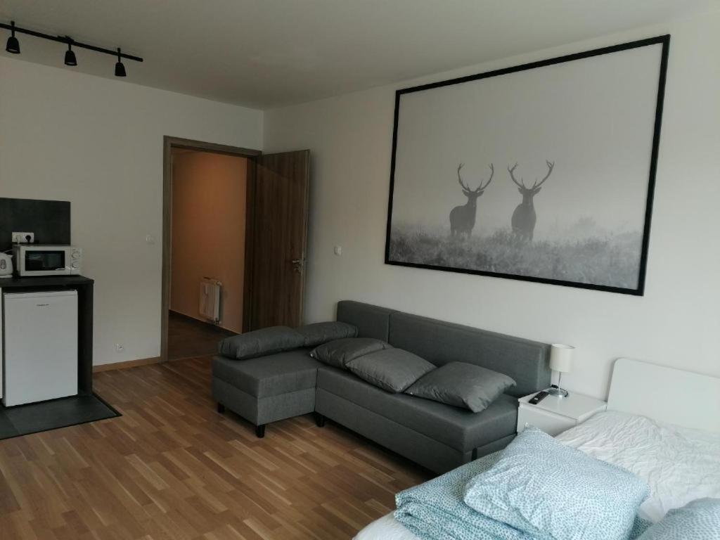 Brand new studio apartment #71 with free secure parking in the center