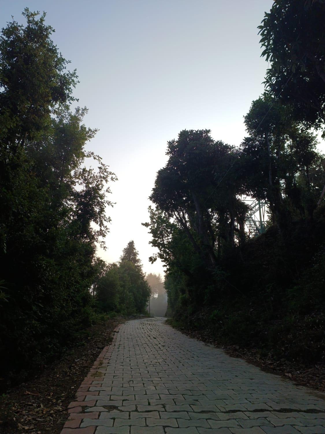 Photo 10