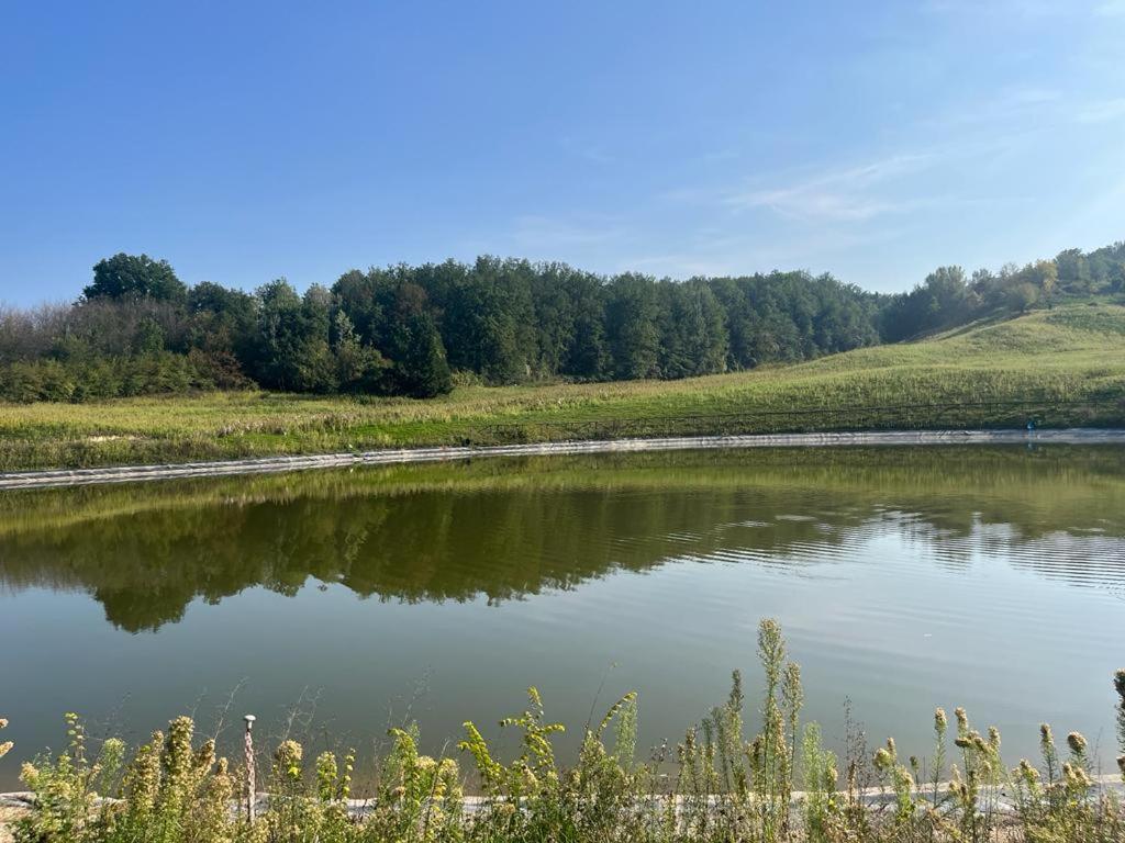 CASA DI GIULIA con soggiorno e cucina, camera matrimoniale con tetto a vista e grande parco circostante view 5