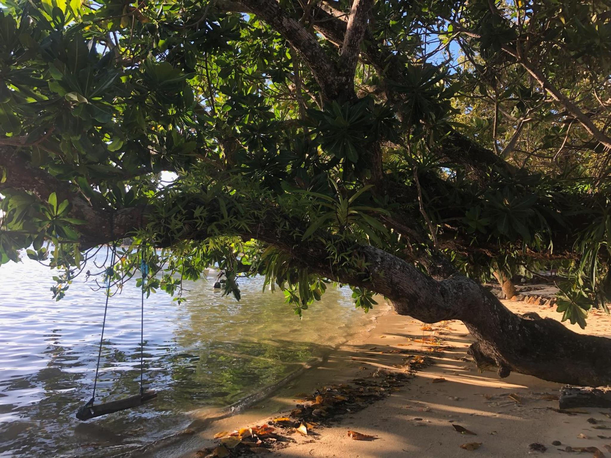 Photo 23
