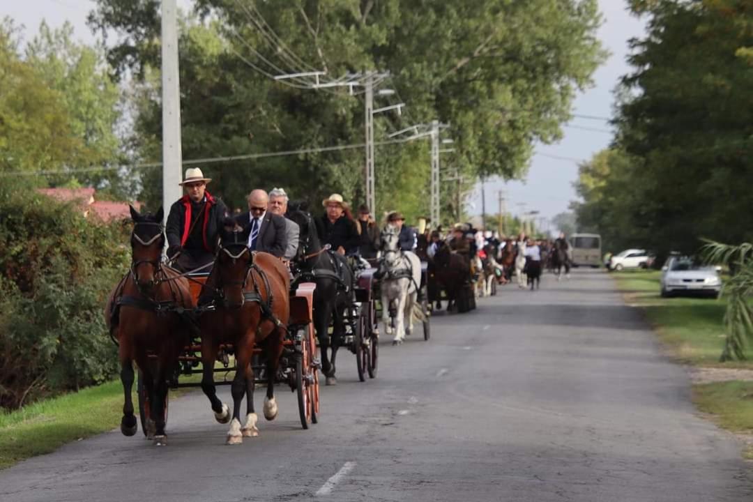 Százszorszép Vendégház