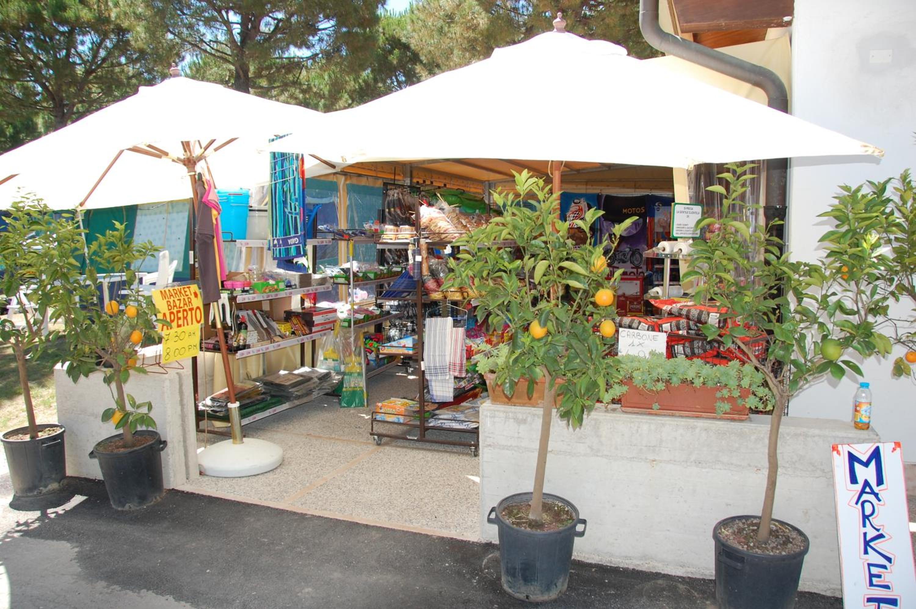 Campeggio del Garda