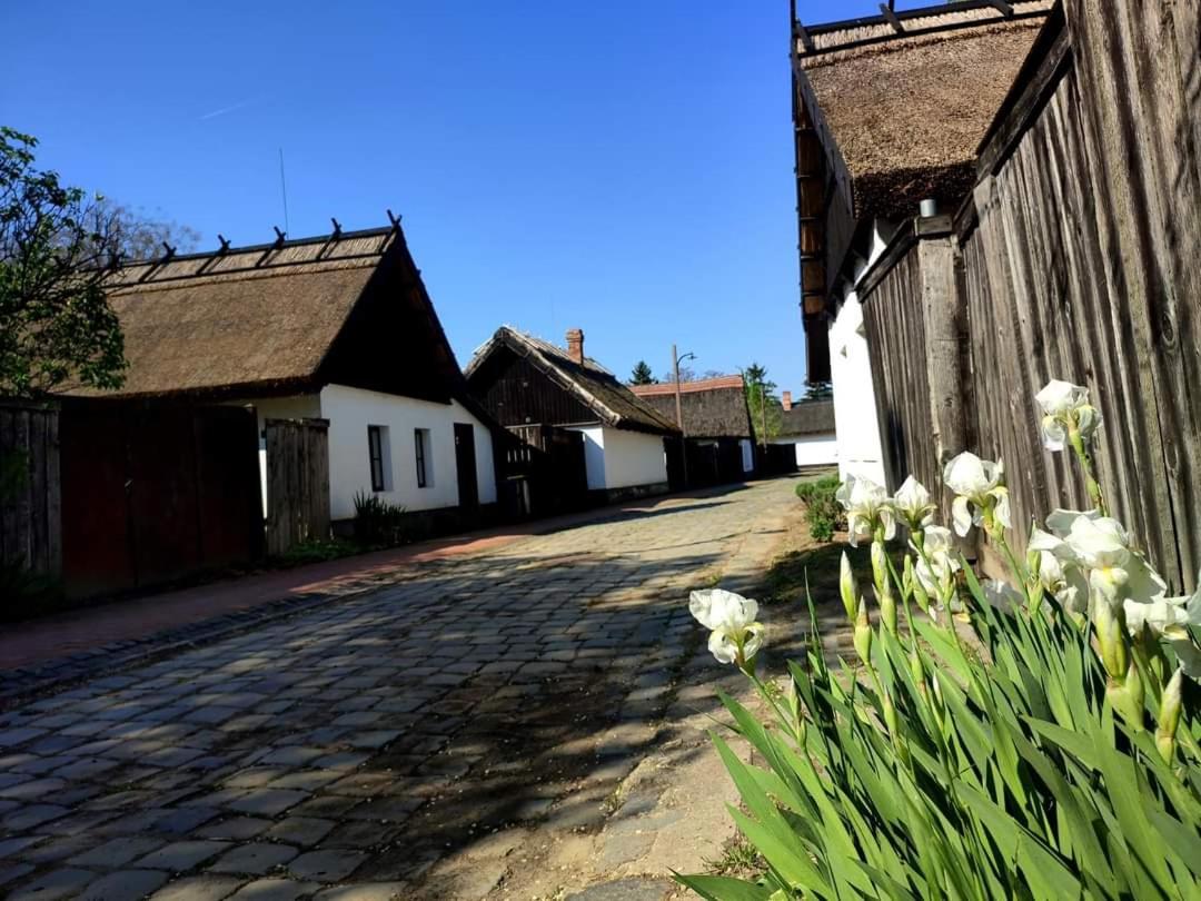 Százszorszép Vendégház
