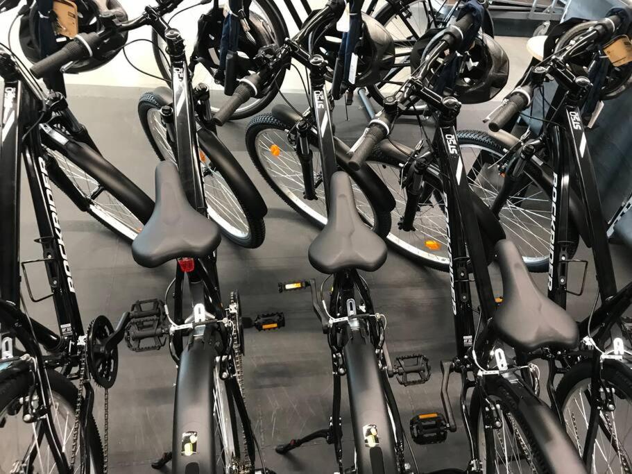 Miguel Torga Gold III