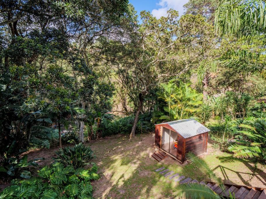 Escape to nature and luxury. Central - Rare find ! view 5