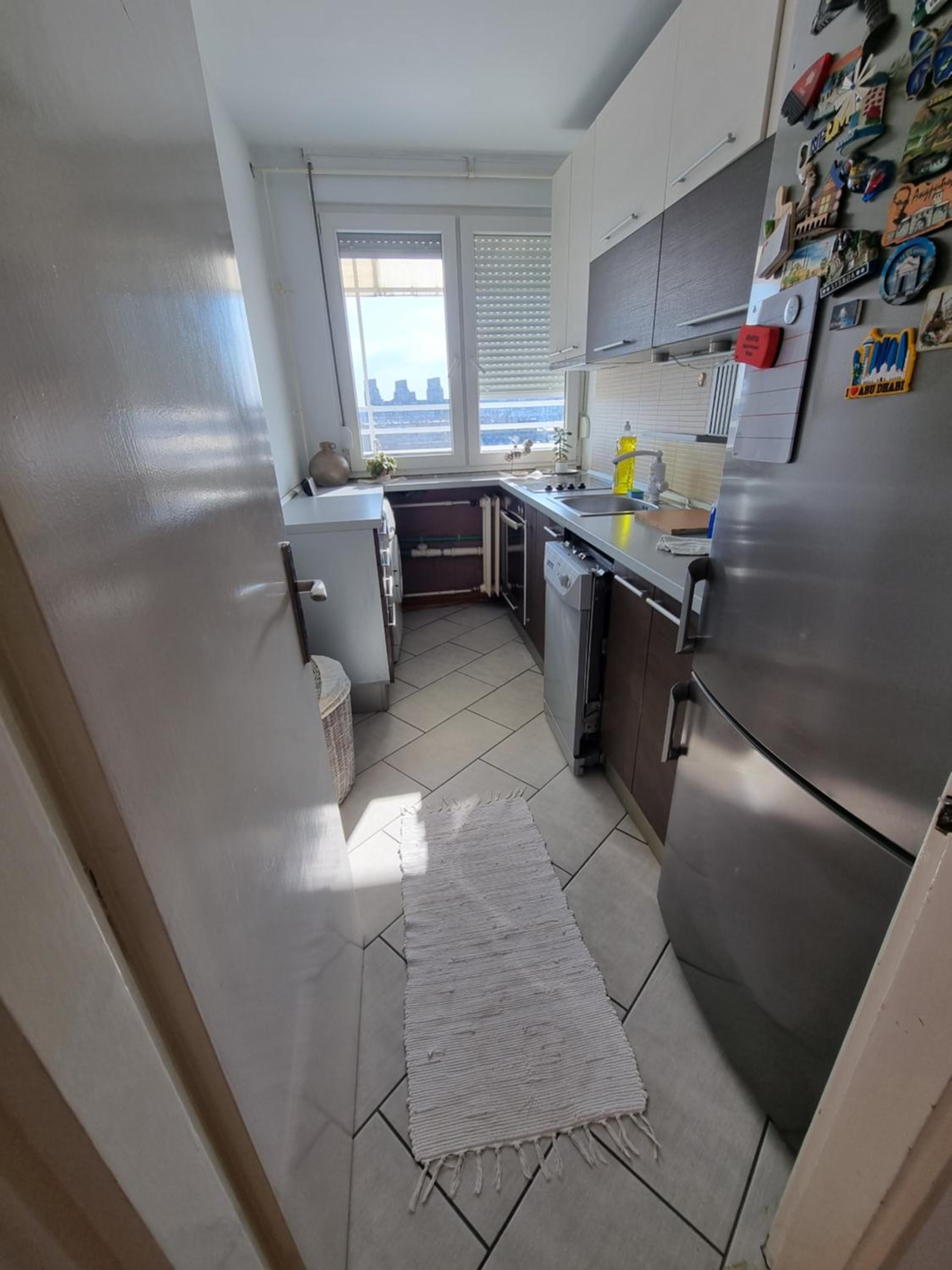 Ušće apartman view 5