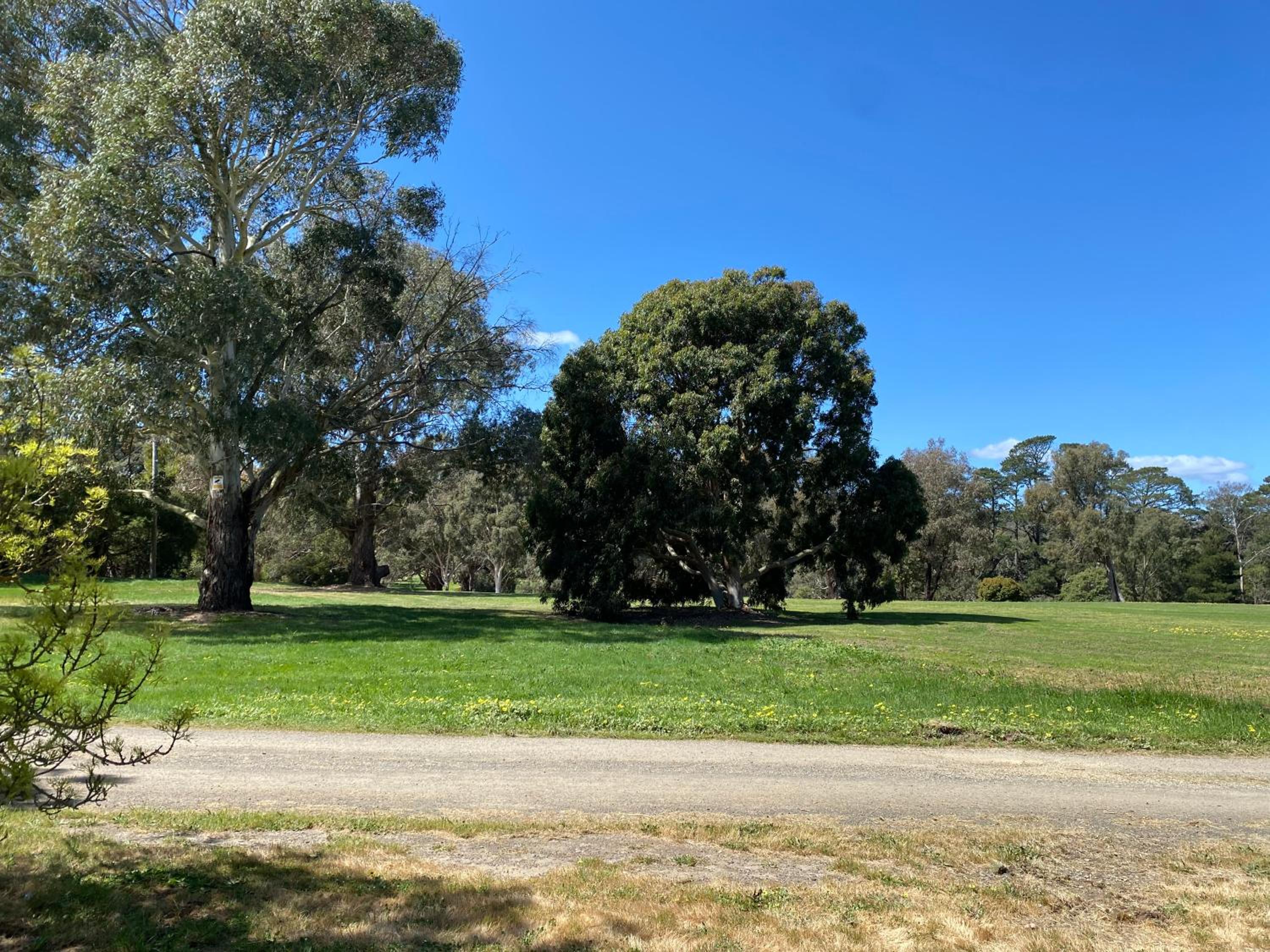 The Delightful Tee House - Kilmore
