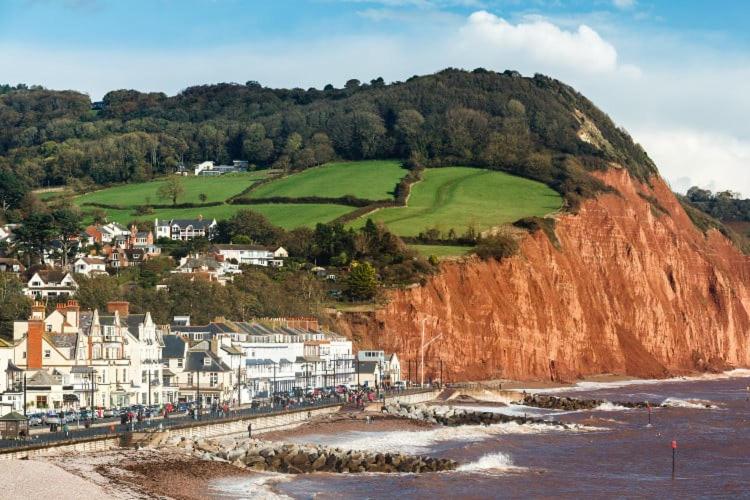 Delightful Devon Cottage