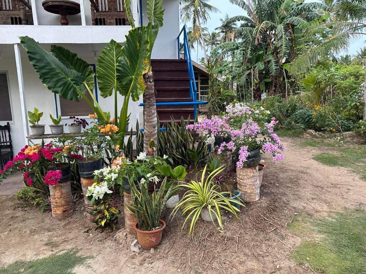 Photo 21