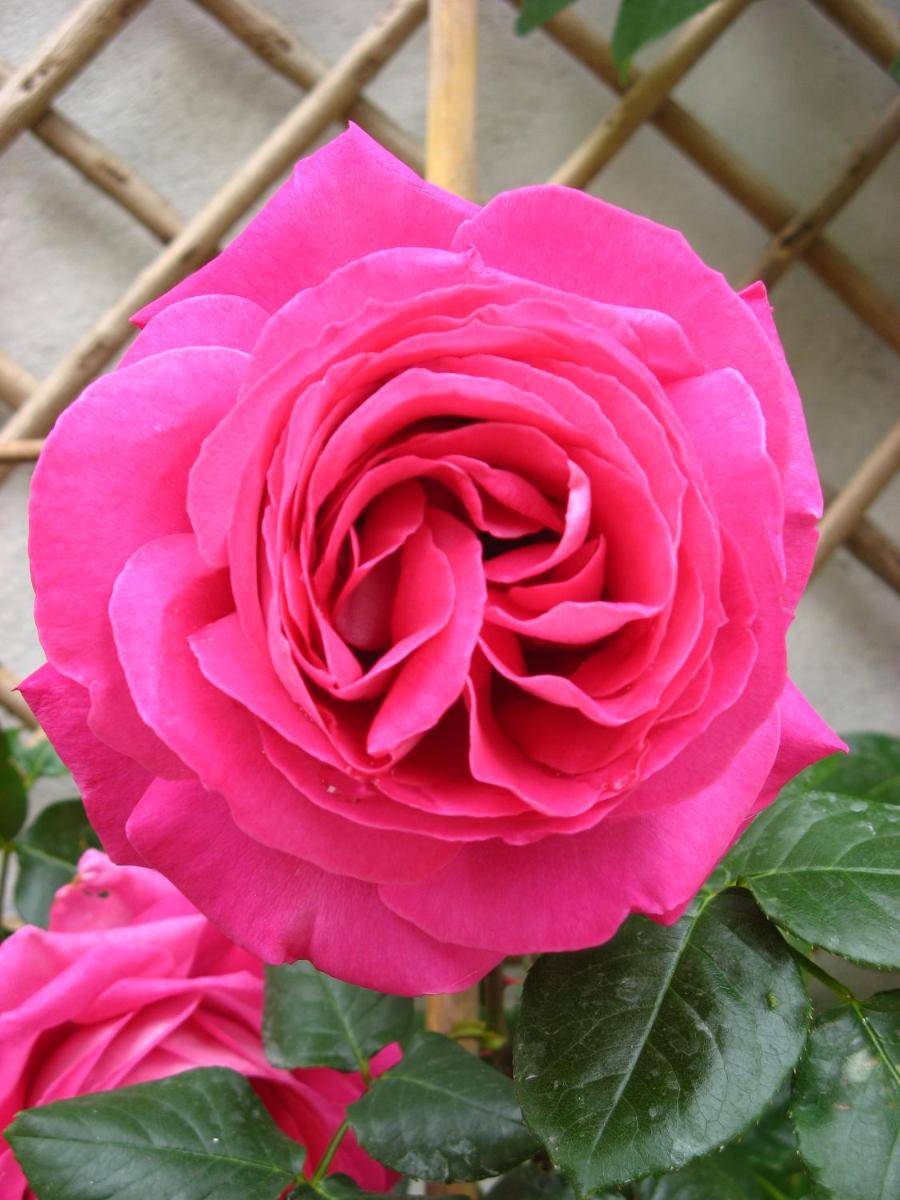 Le Chai De La Rose SPA et Séances Bien être, photo 23