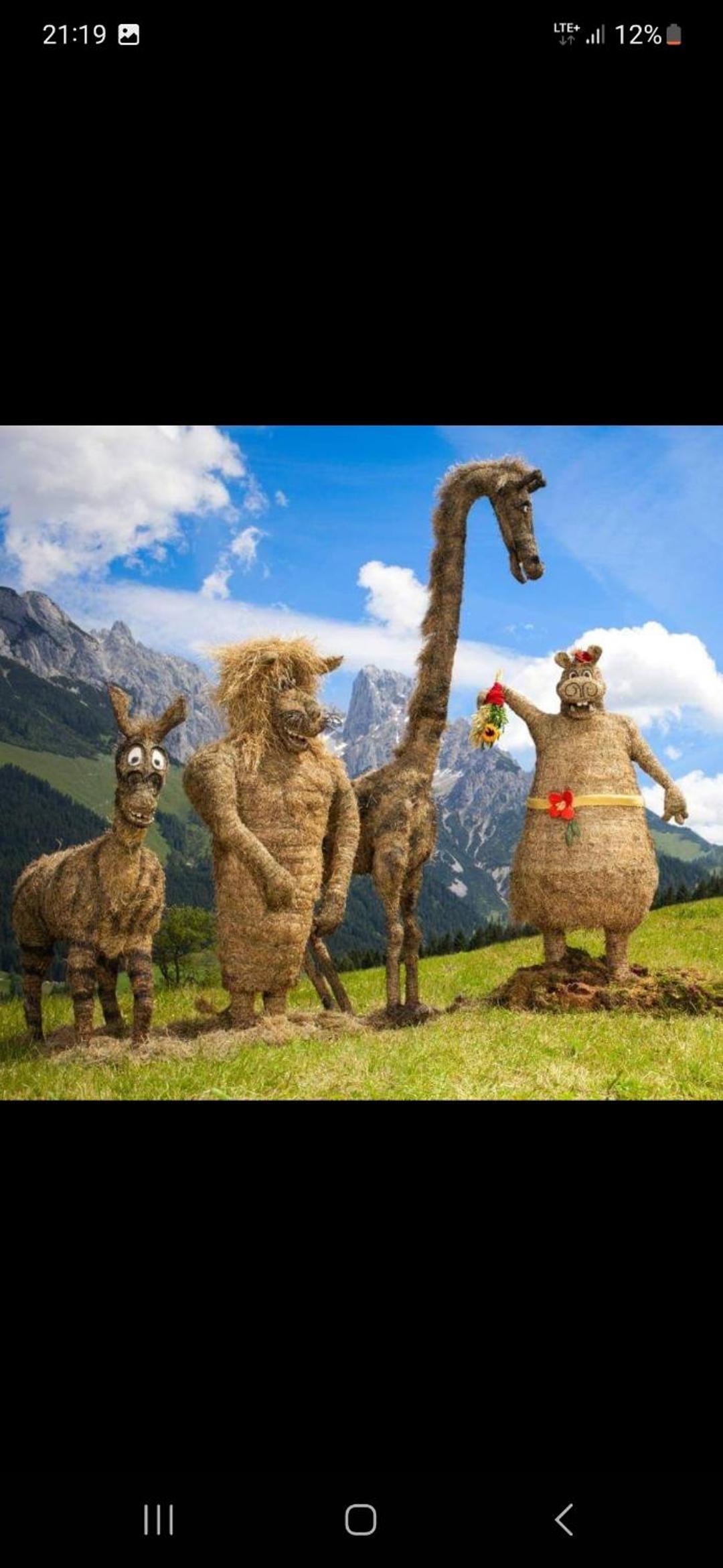 Bergliebe