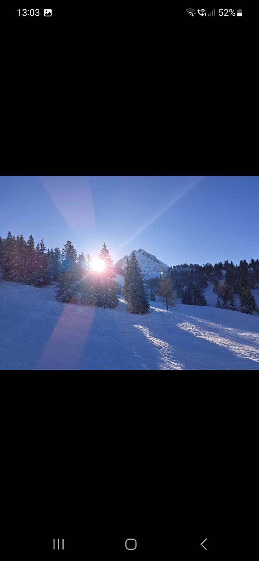 Bergliebe