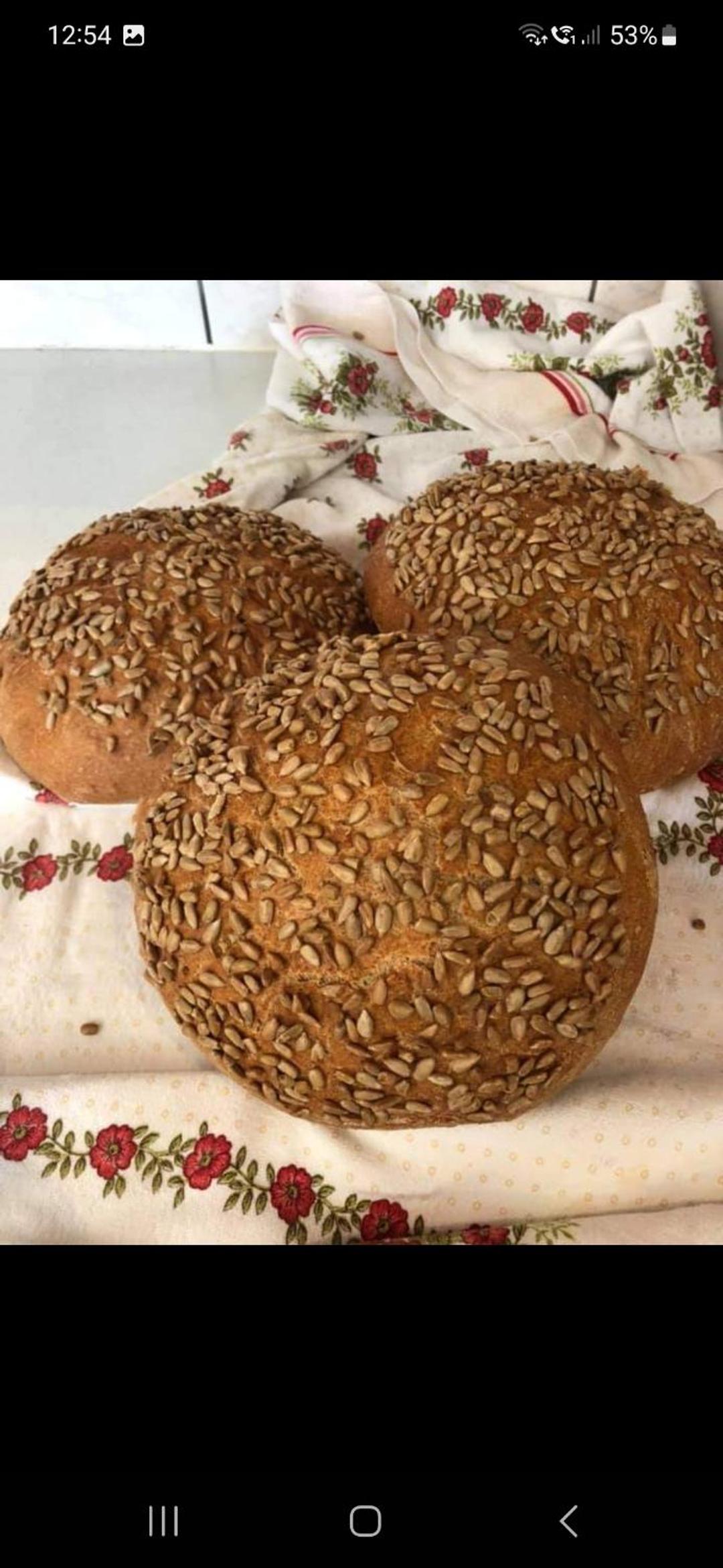 Bergliebe
