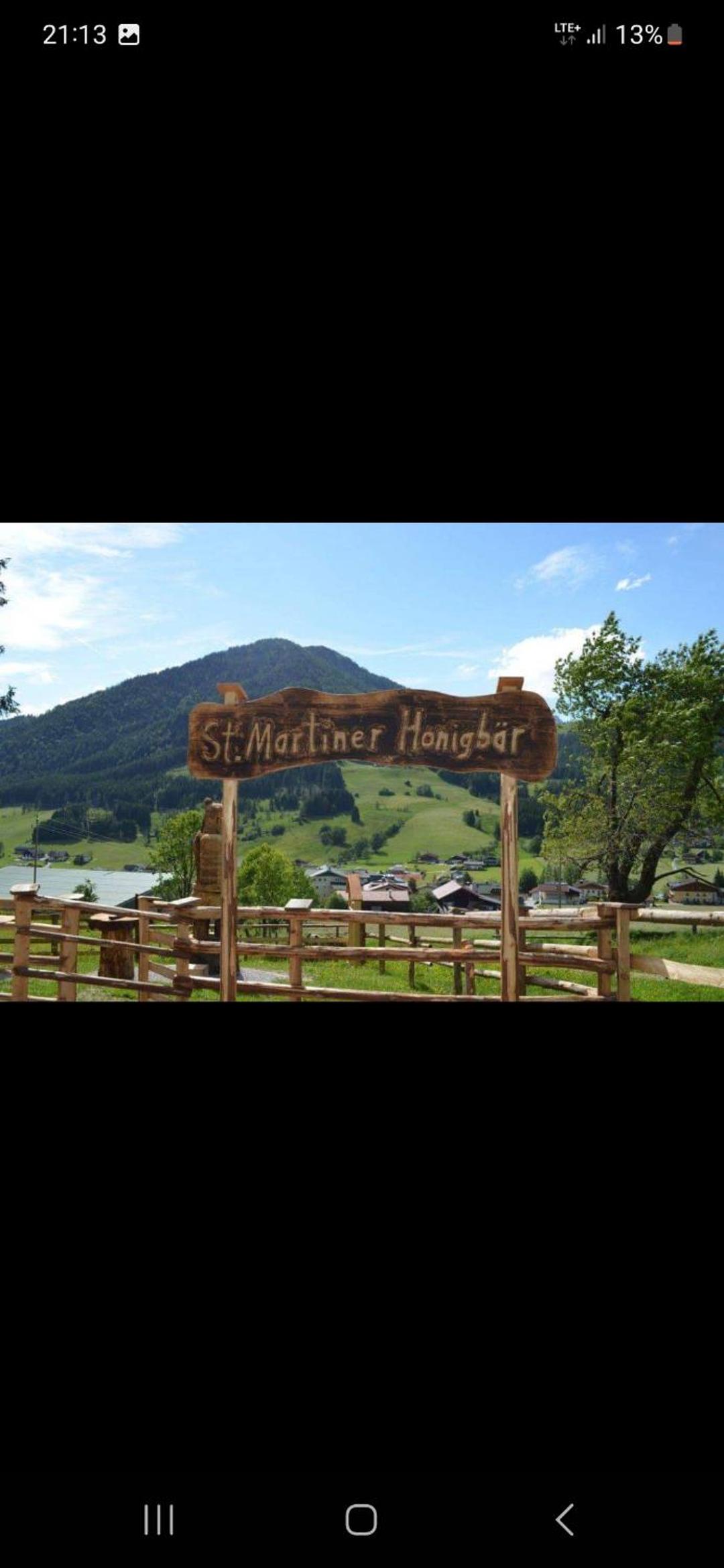 Bergliebe