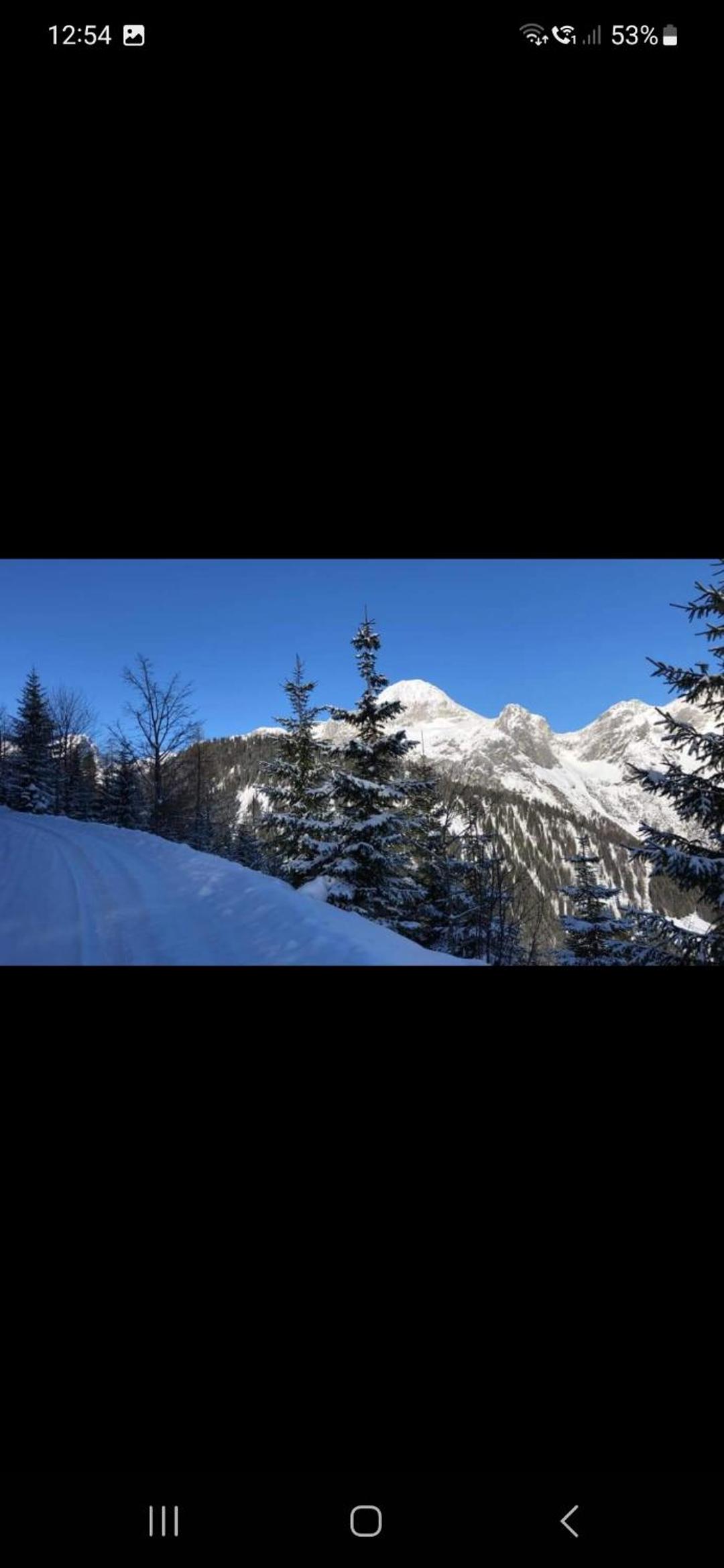 Bergliebe