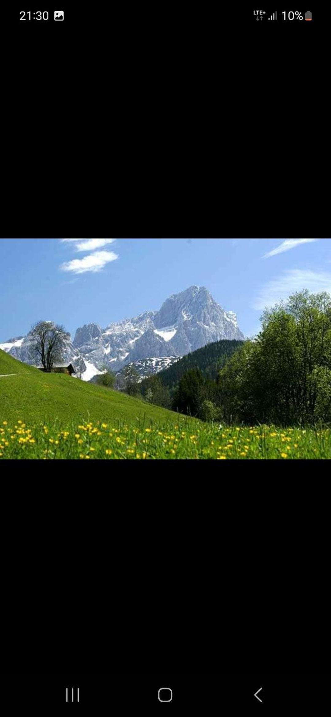 Bergliebe