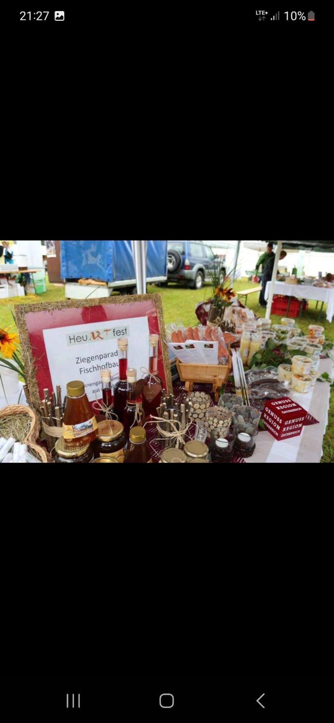 Bergliebe