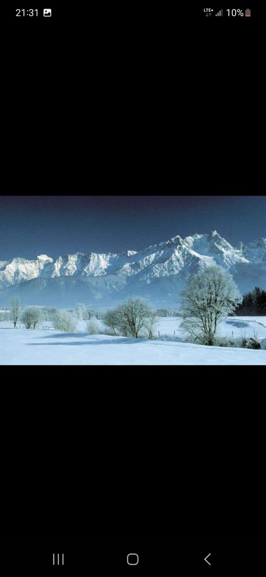 Bergliebe