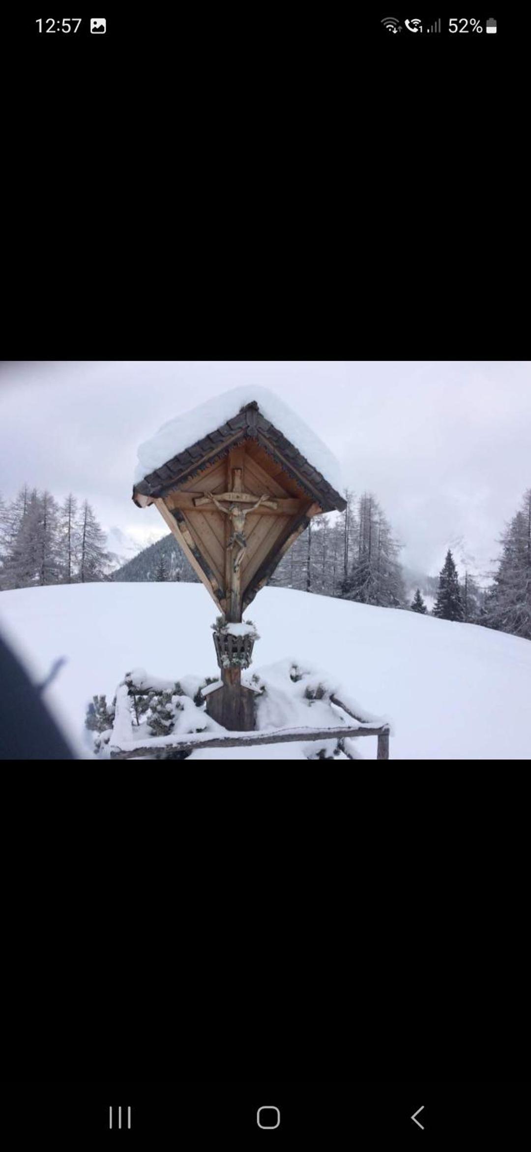 Bergliebe