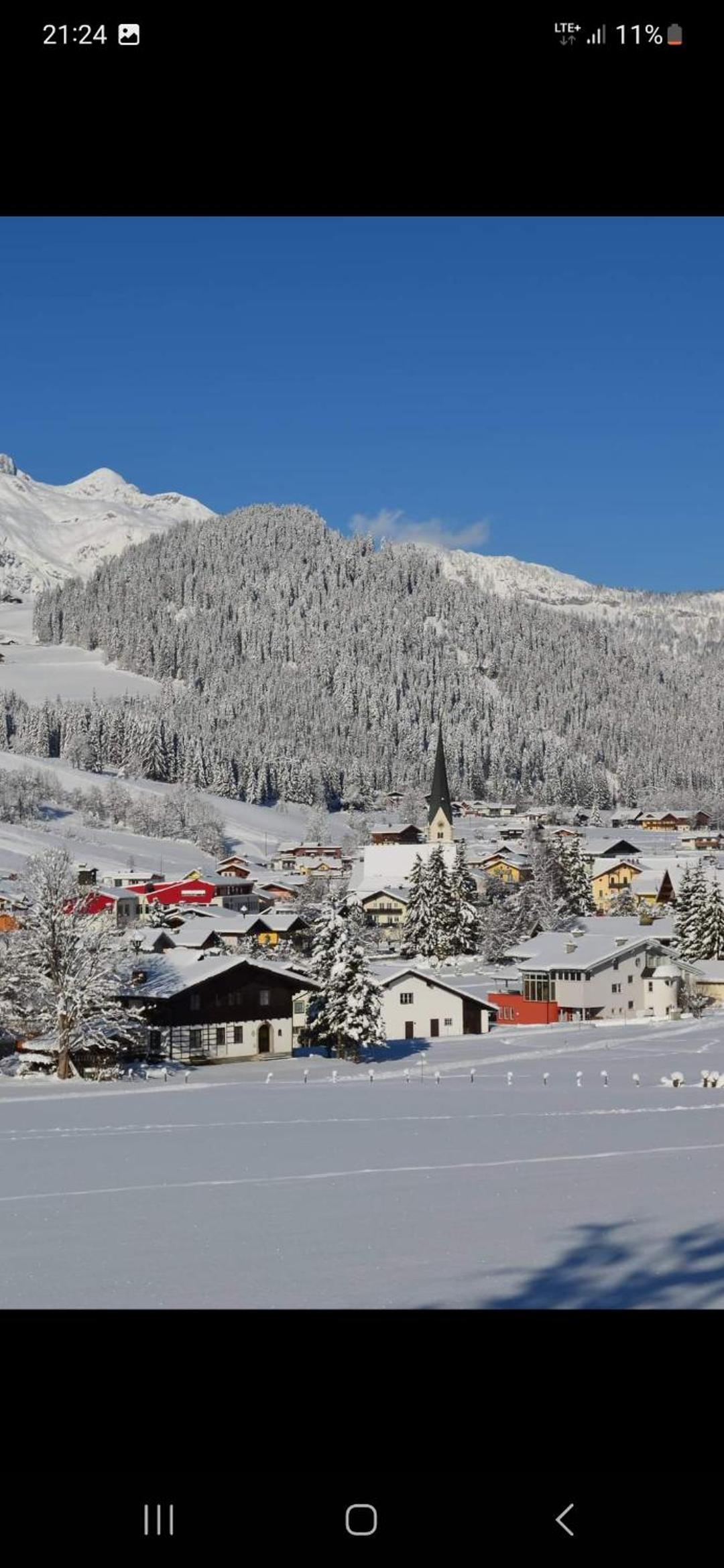 Bergliebe