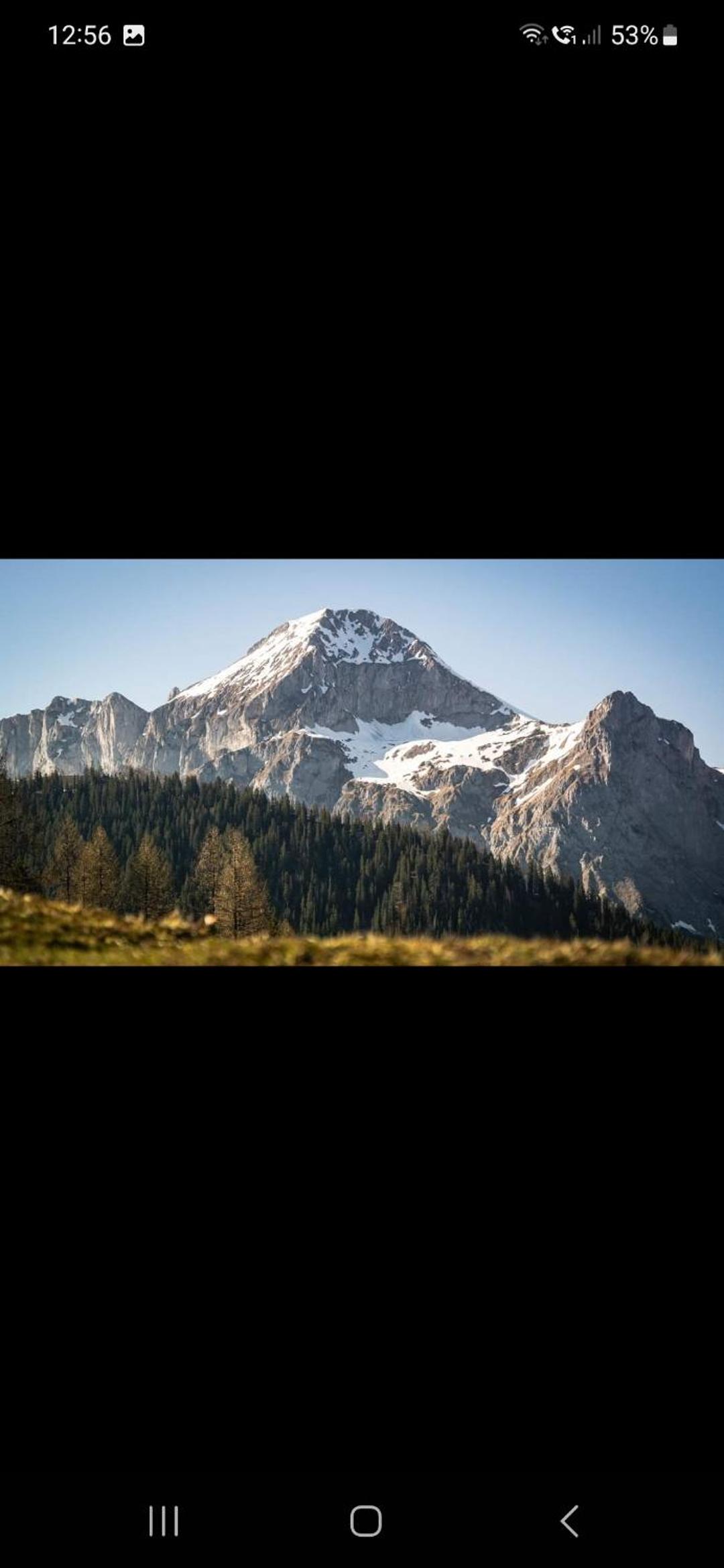 Bergliebe