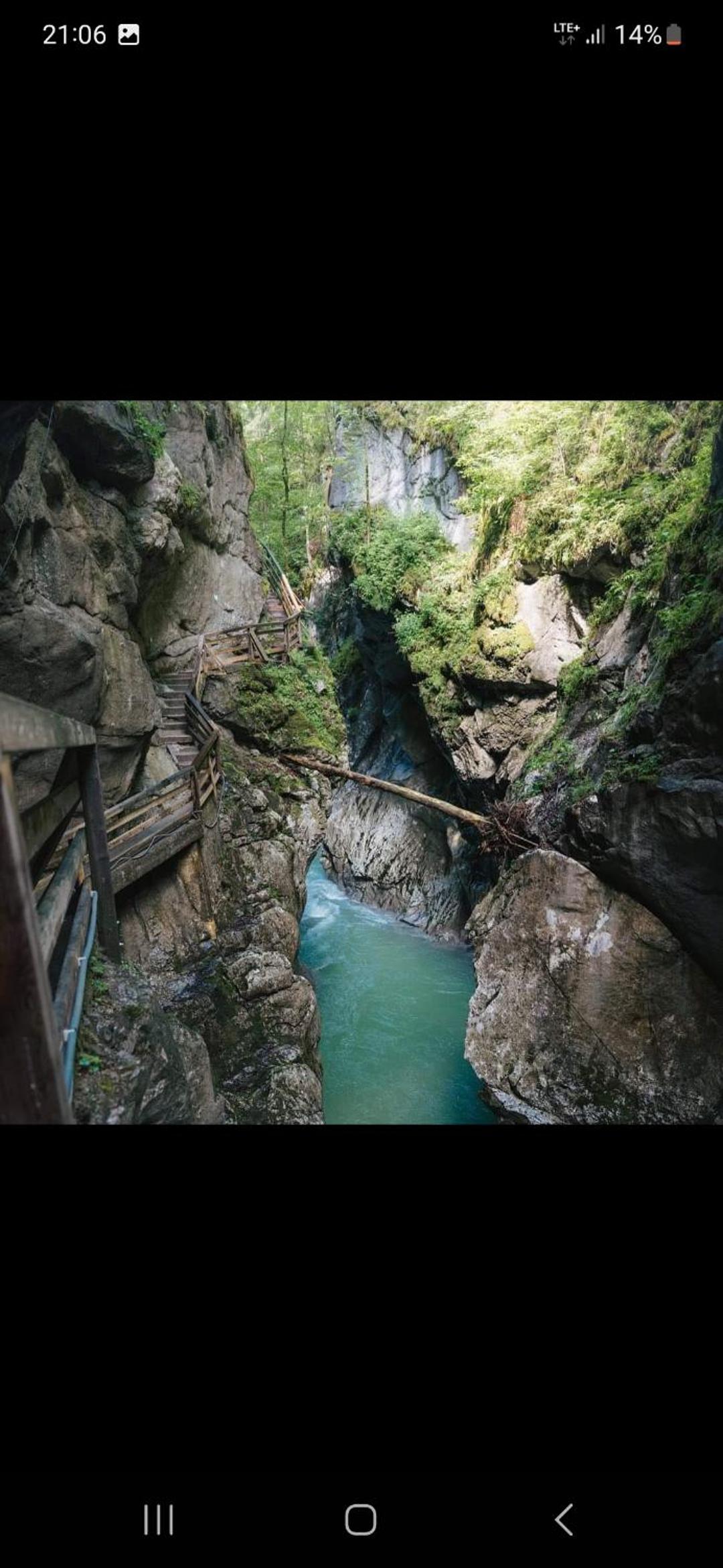 Bergliebe